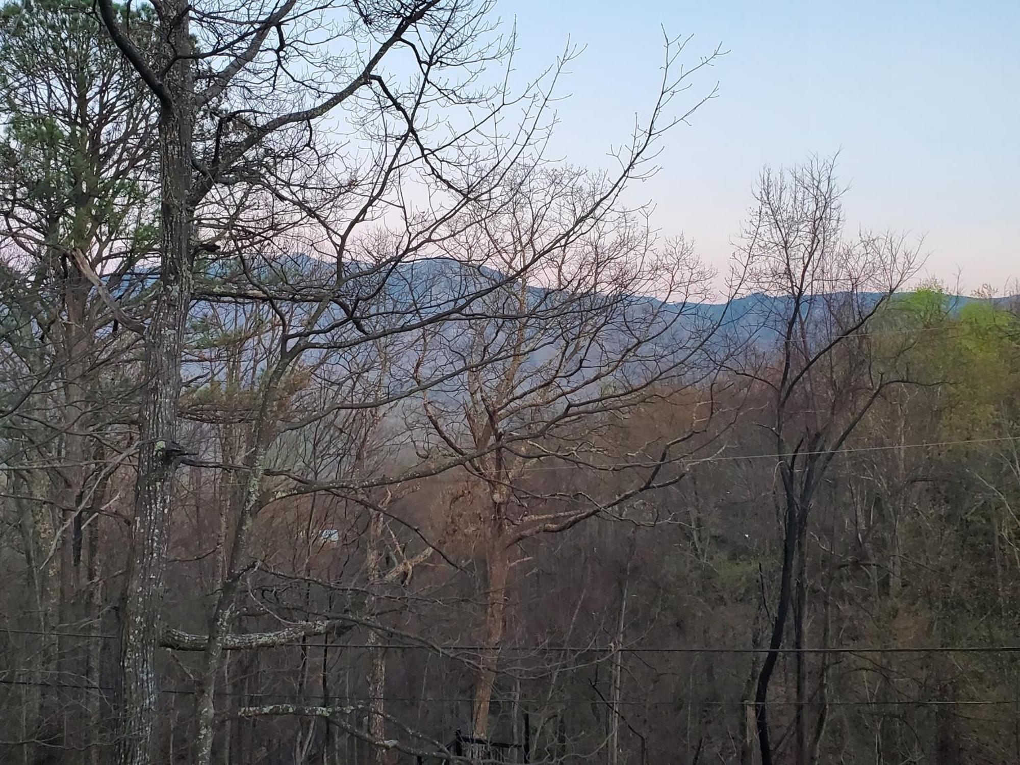 Treetops Chalet - 3Bd/2Bt Boutique Cabin W/Mt Leconte Views In 蓋特林堡 外观 照片